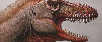 Descubren dos nuevas especies de dinosaurio en Argentina y Canadá