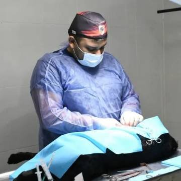 Castración gratuita en zona norte: arranca la semana que viene